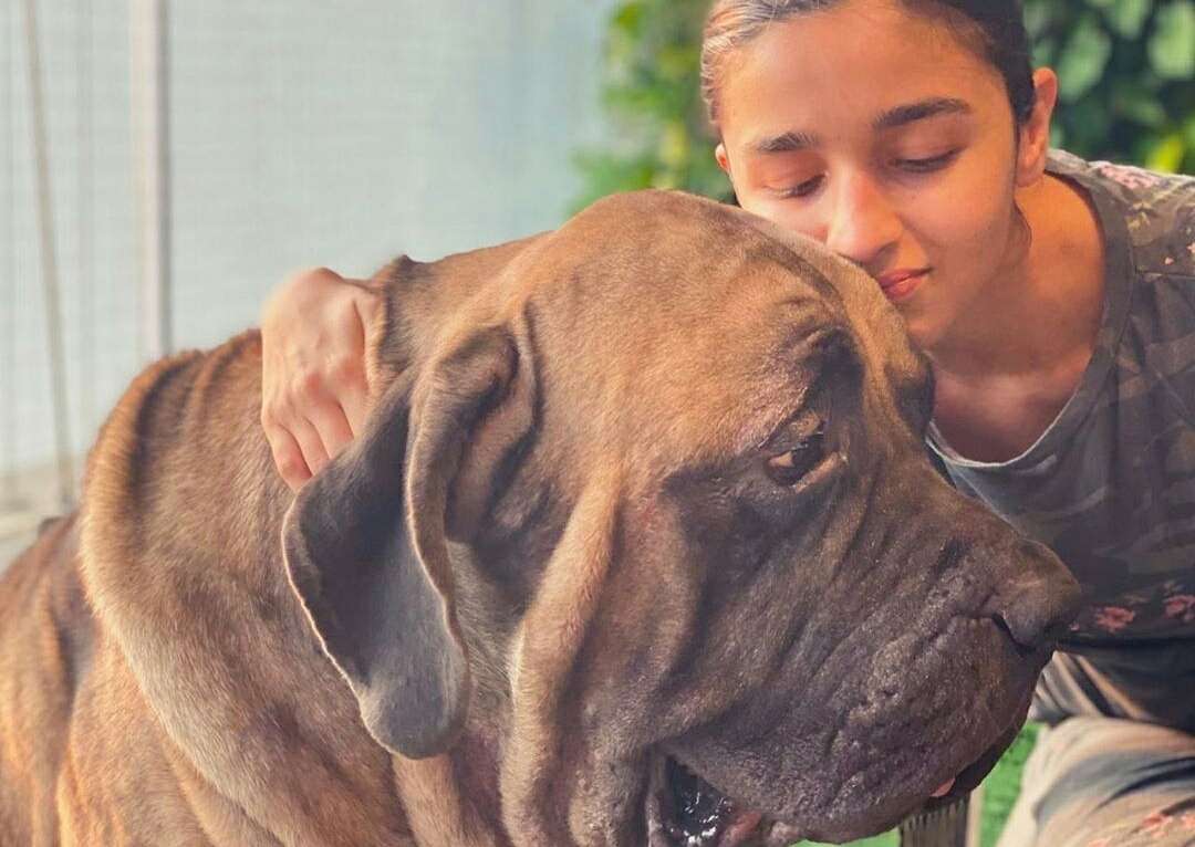 Alia Bhatt Insta 1212