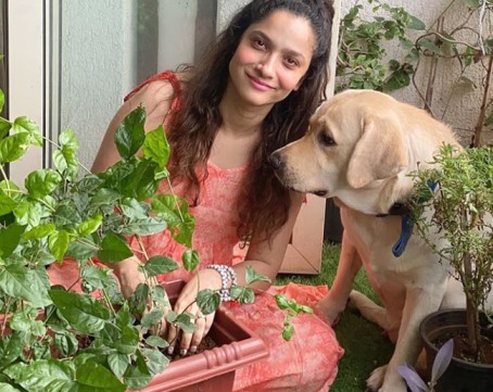 Ankit Lokhande planting a sapling in rememberance of Sushant