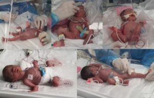 5 infants born to woman in south korea child