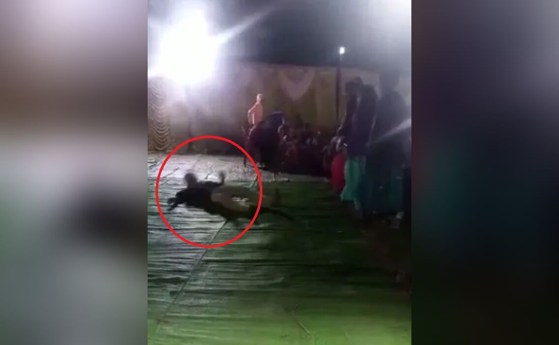 Man collapses while dancing in MP Betul (1)