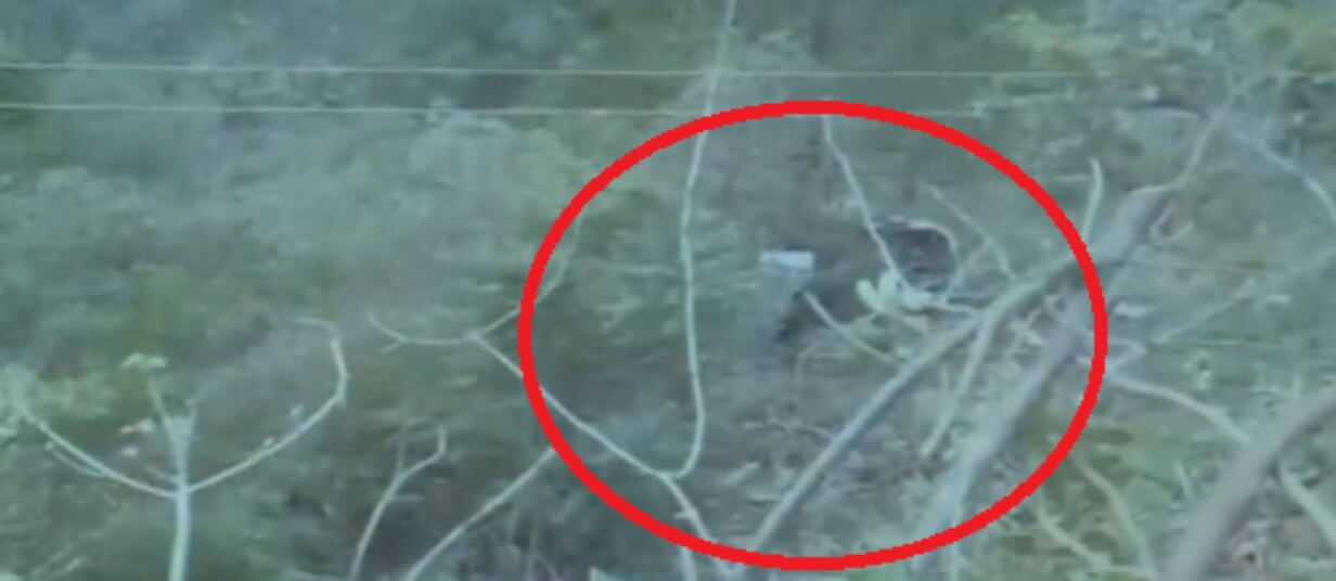 Bus falls into gorge in Uttarakhand (1)