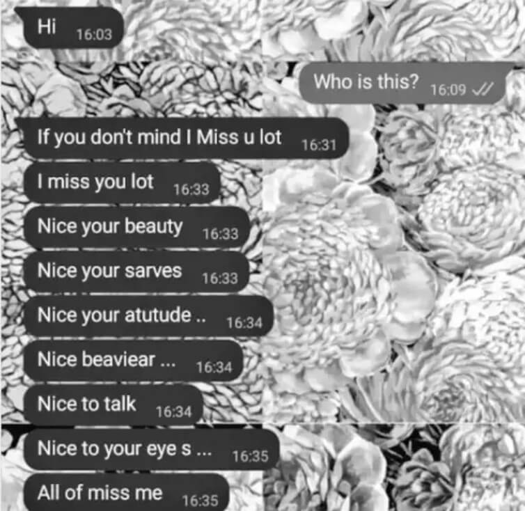 Swiggy Delivery Boy (1)