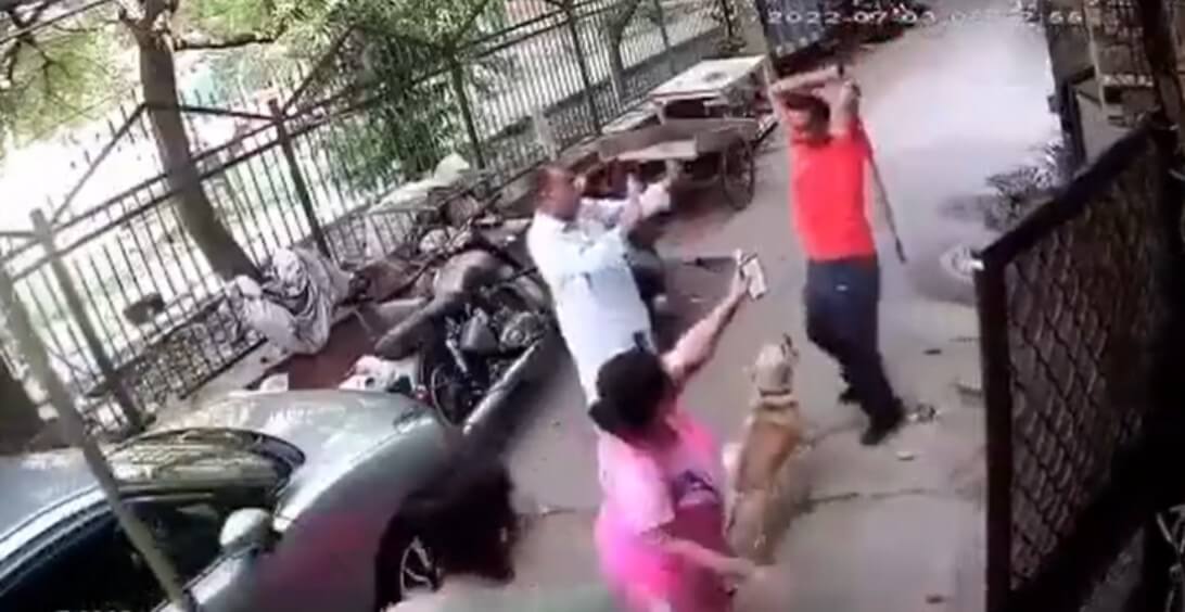 Delhi Dog Incident (1)