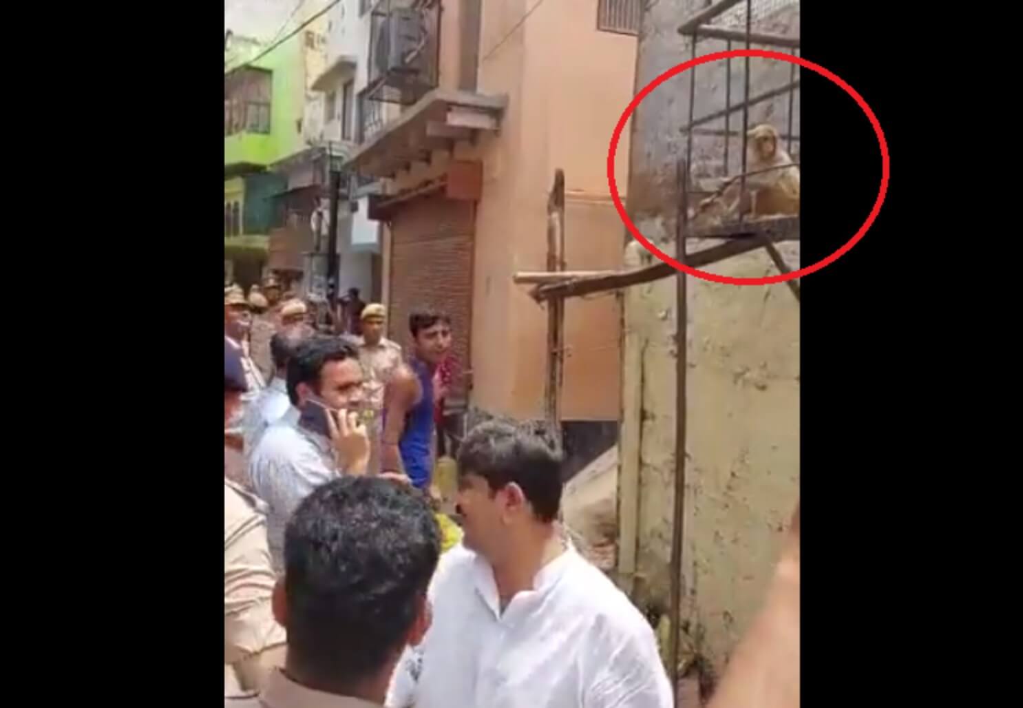 Monkey snatches specs of Mathura DM (1)