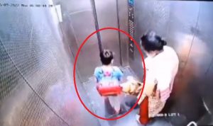 Dog bites boy in lift ghaziabad video viral (1)