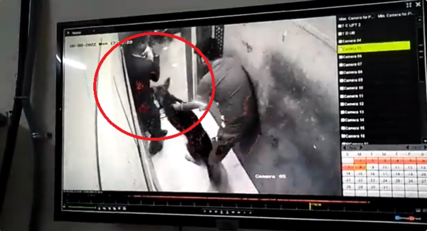 Dog bites delivery boy in lift in Noida (1)