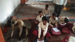 langoor in class Jharkhand 1