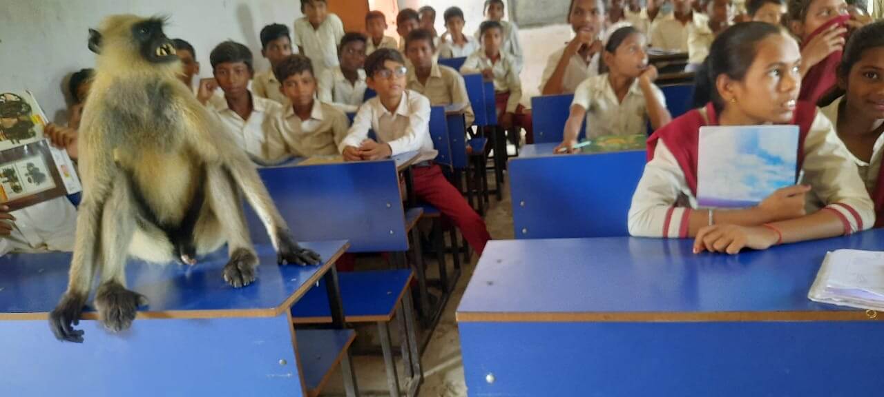 फोटो: आईएएनएस 