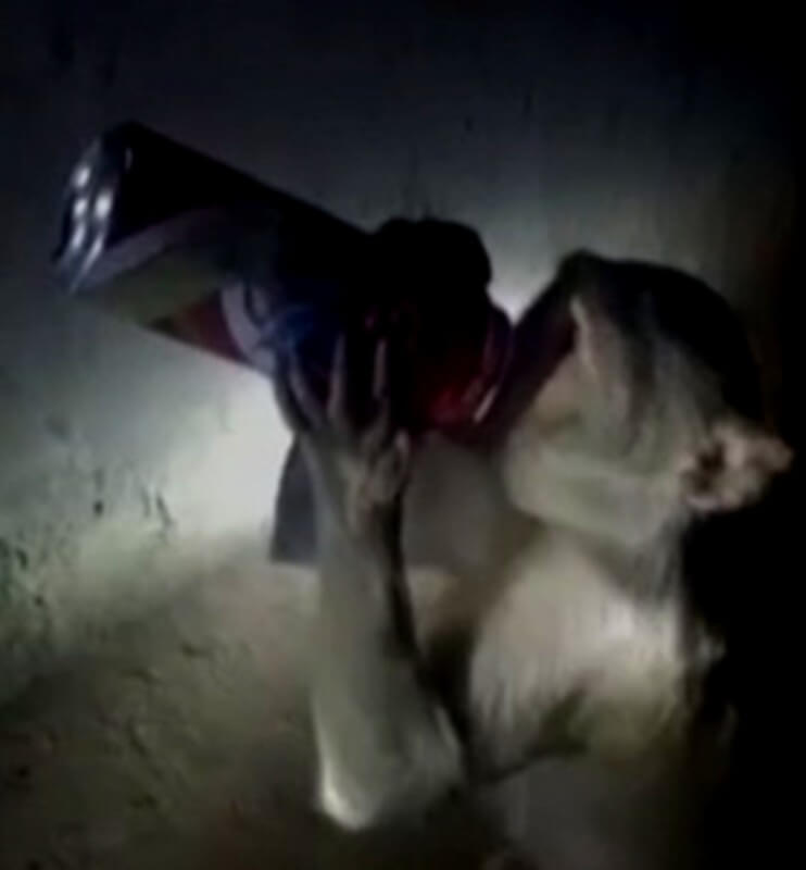 monkey drinking liquor Raebareli (1)
