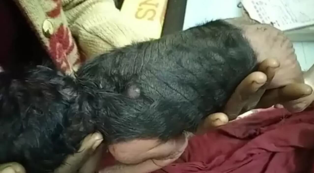 Baby with hair Hardoi (1) (1)