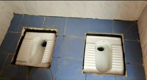 Two Toilet seats in one