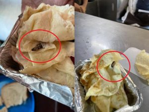 cockroach in omelette (1) (1)