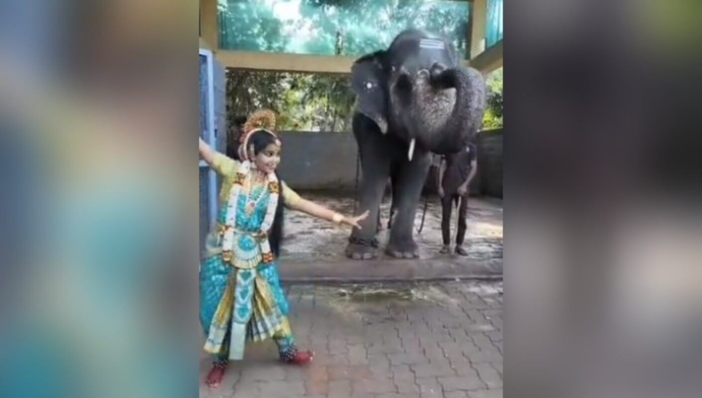 girl dancing infront of elephant (1) (1)