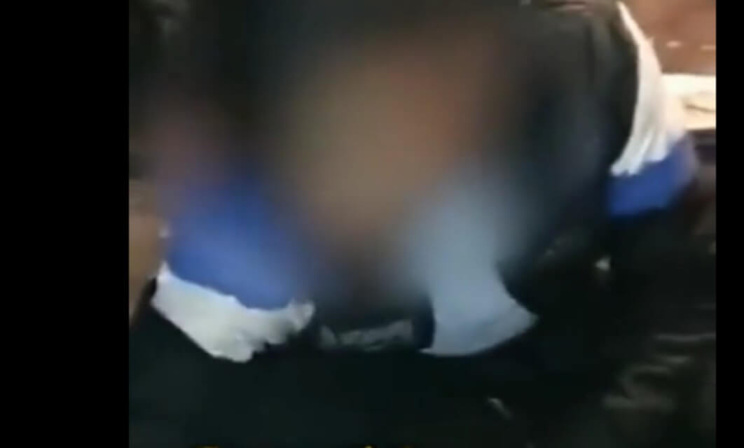 uninvited guest had food (1)