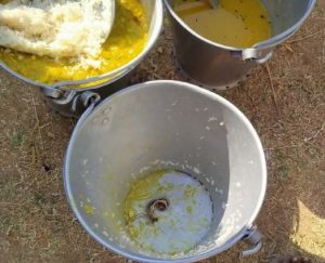 Snake In Mid Day Meal