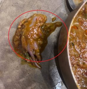 Mouse in food Mumbai