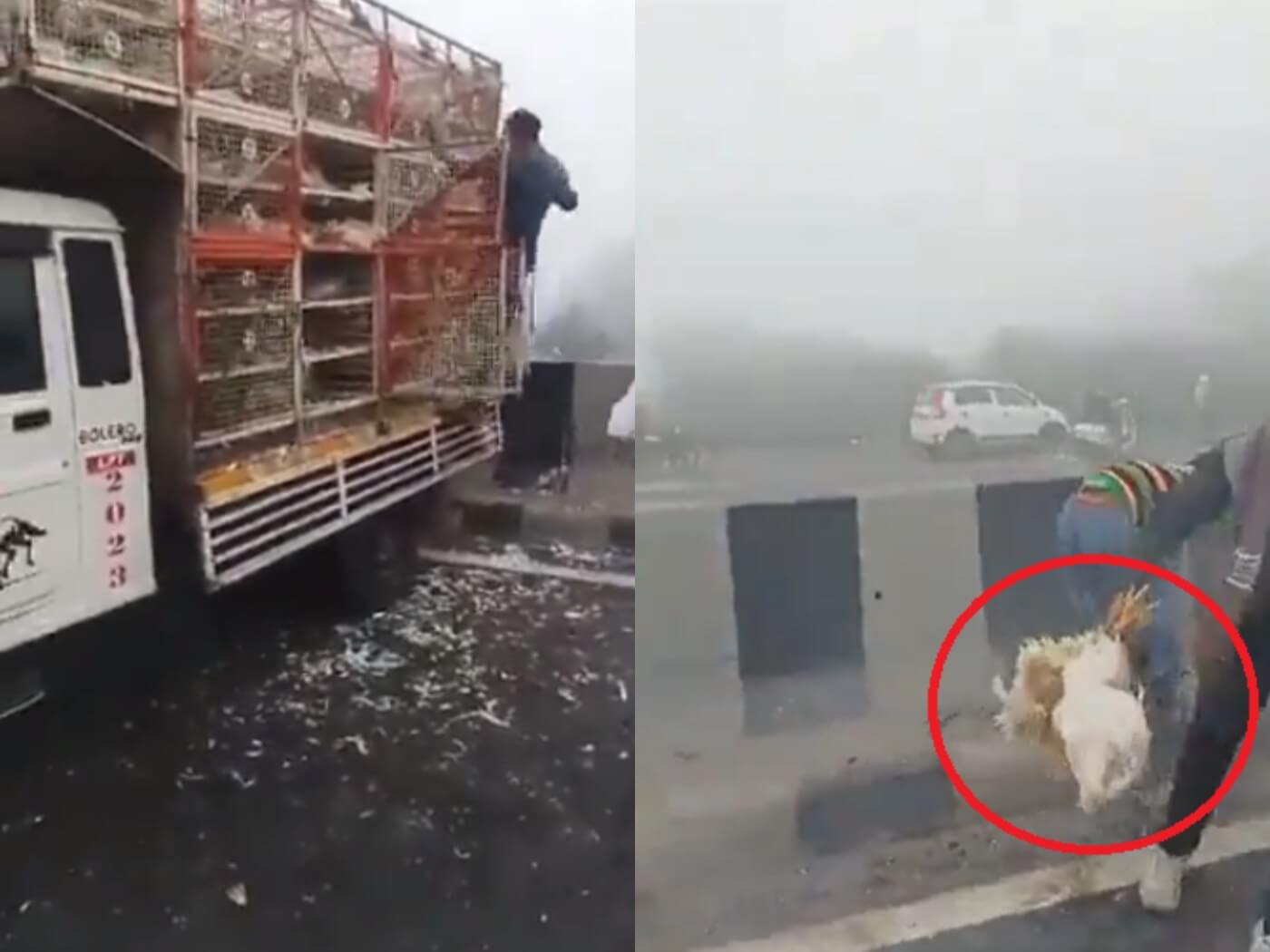 Murga And Accident (1) (1)