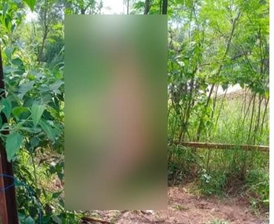 Dog hanged to death in Pune (1) (1)