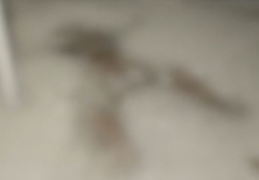 human skeleton found in madarsa in Kanpur (1)