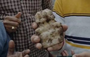 Sambhal Temple 4 (1)