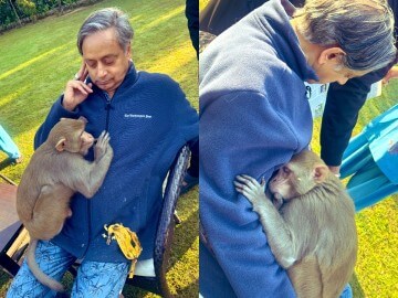 Shashi Tharoor (1) (1)