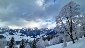 Snowfall AI Photo Depositphotos_770671466_XL (1) (1)