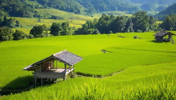 Field AI Photo Depositphotos_795938248_XL (1) (1)