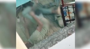 Pitbull attacks young man in Noida March 3 (1)