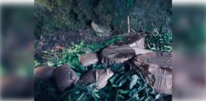 IED recovered from Poonch (1)