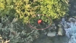 Kulgam man jumps into river to escape police (1) (1)