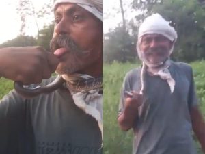 Amroha snake collage (1) (1)