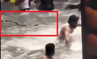 snake in water fall paint