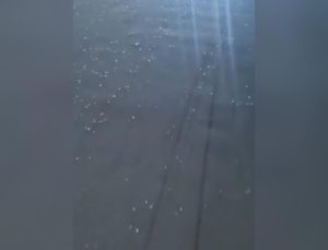 glass shrads strewn on road 2 (1)