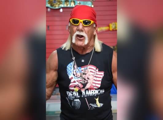 hulk hogan 2 (1) (1)