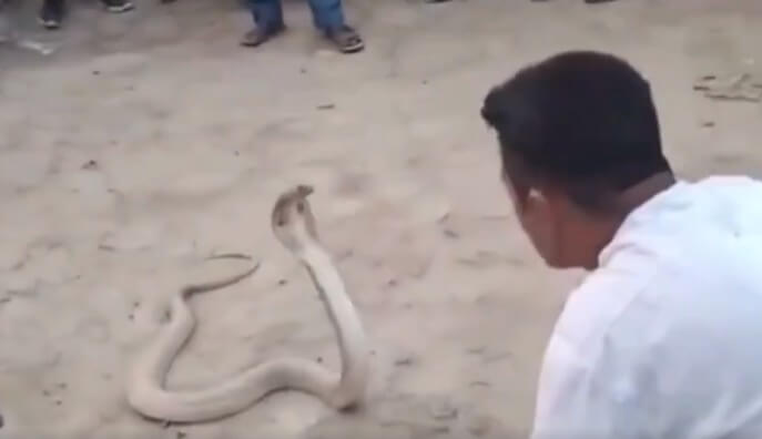 snake man