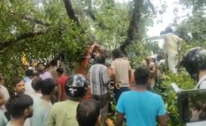 Barabanki tree falls over bus 5 killed