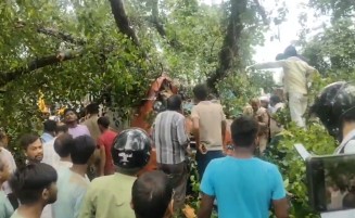 Barabanki tree falls over bus 5 killed