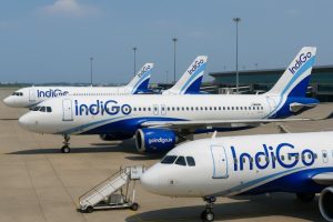 Indigo 4 ChatGPT Image Dec 5, 2025, 02_40_17 PM (1)