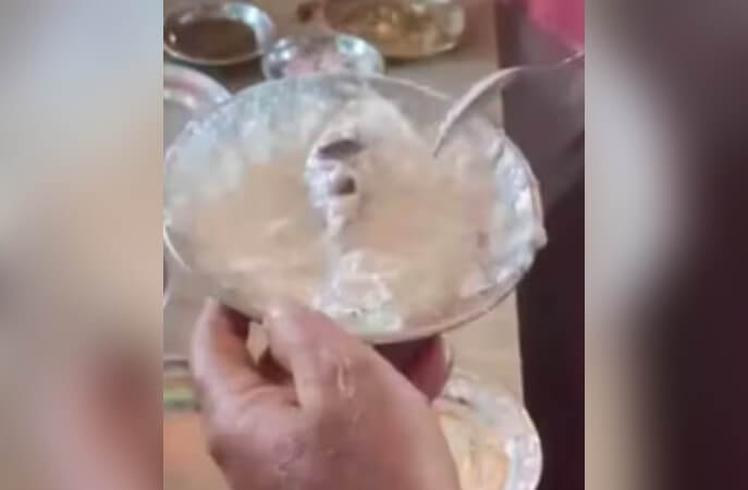 dead rat found in curd Ghazipur (1)