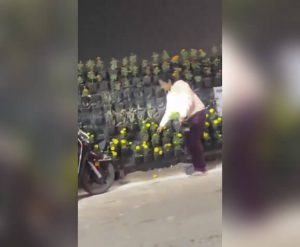 flower pot stolen in Lucknow 2 (1)