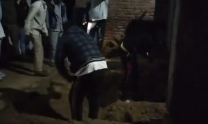 man murders wife and three daughters buries body at home Shamli (1)