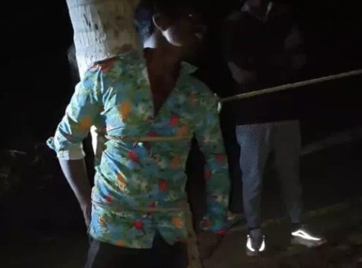 Gujarat dog bite news (1) (1)