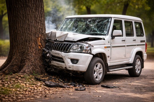 Car Bolero collides with tree ChatGPT Image Mar 20, 2026, 10_37_57 AM (1)