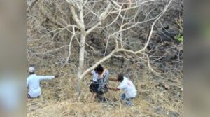 Gondia ACCIDENT