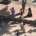 society maids protest