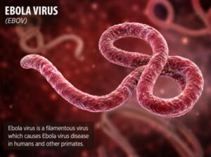 Ebola AI ChatGPT (1)