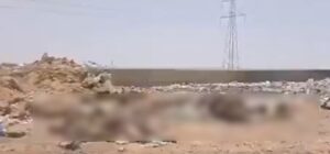 Jaisalmer cow death case 2