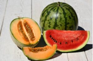 MELON N WATER MELON