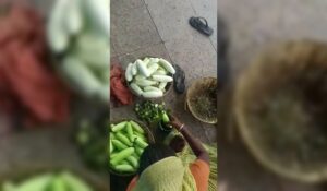 kheera adulteration 1 (1)