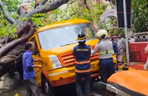 TREE FELL ON BUS